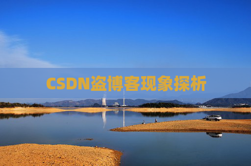 CSDN盗博客现象探析 CSDN盗博客现象探析